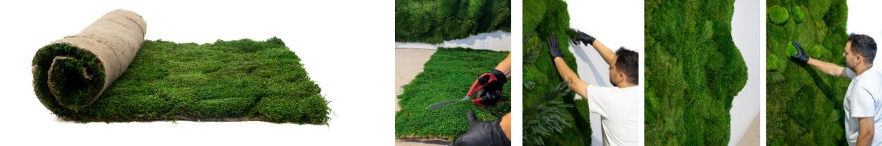 Flexmoss innovation Phocealys